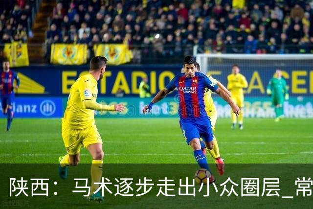 陕西：马术逐步走出小众圈层 常年参训人数达数千人